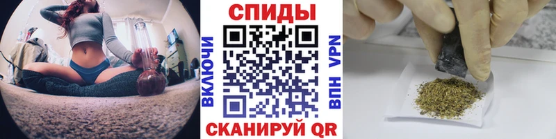дарнет шоп  Волоколамск  мориарти какой сайт  БУТИРАТ буратино  KRAKEN  