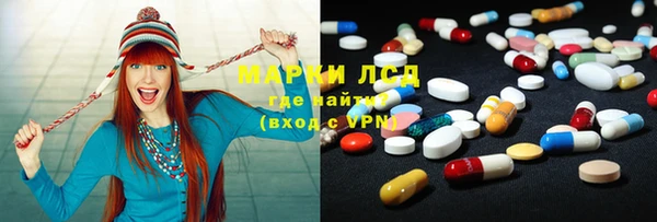 ПСИЛОЦИБИНОВЫЕ ГРИБЫ Болотное
