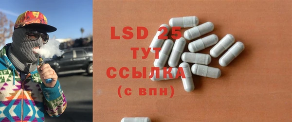 ПСИЛОЦИБИНОВЫЕ ГРИБЫ Болотное