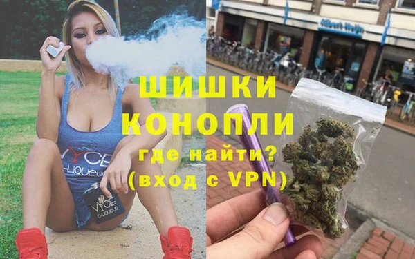 соль ск Ветлуга