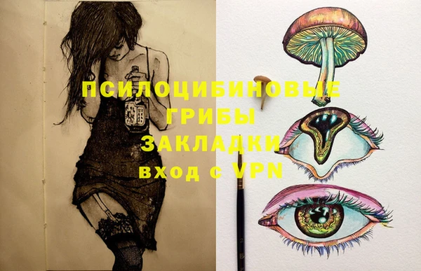 дмт Болхов