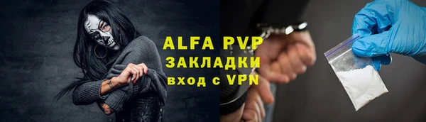 ПСИЛОЦИБИНОВЫЕ ГРИБЫ Болотное