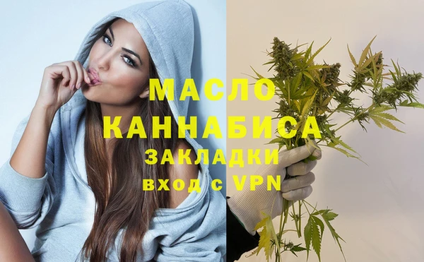 соль ск Ветлуга