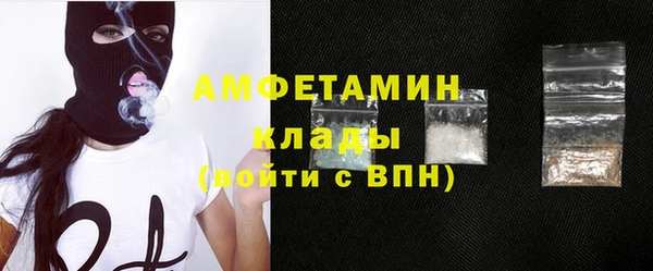 ПСИЛОЦИБИНОВЫЕ ГРИБЫ Болотное