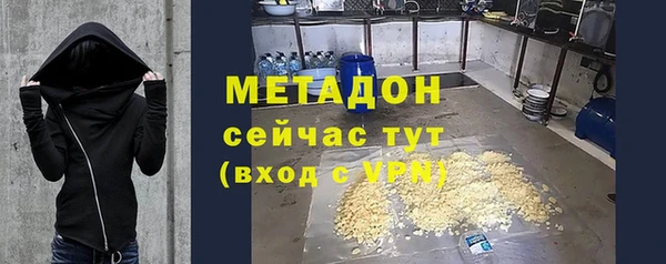 ПСИЛОЦИБИНОВЫЕ ГРИБЫ Болотное