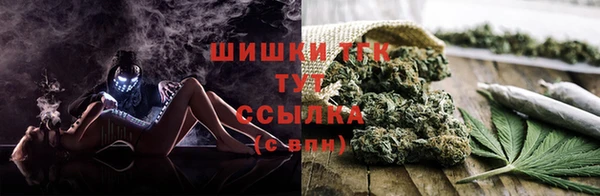 соль ск Ветлуга