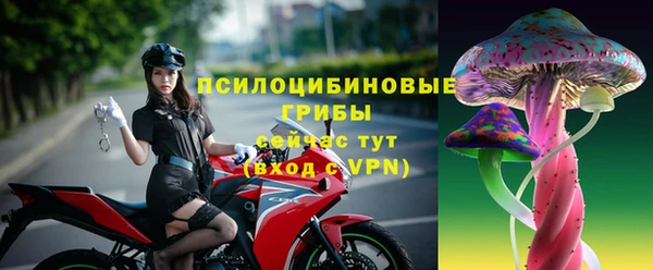 ПСИЛОЦИБИНОВЫЕ ГРИБЫ Болотное