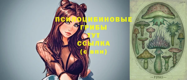 соль ск Валдай