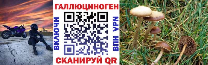 Псилоцибиновые грибы мицелий  где купить наркотик  Волоколамск 
