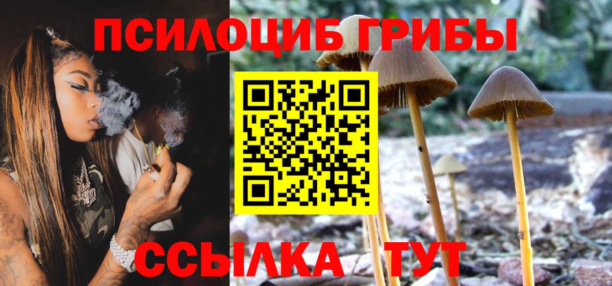 Галлюциногенные грибы Magic Shrooms Волоколамск