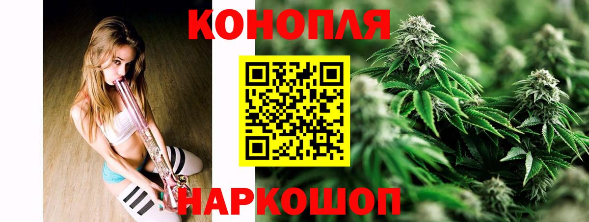 Каннабис план Волоколамск